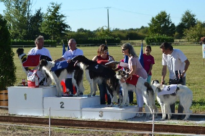 de Prjevalski - Edwina de prjevalski championne de france de pari mutuel 2013