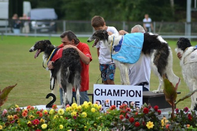 de Prjevalski - Erevitch Champion d'europe de racing 2013