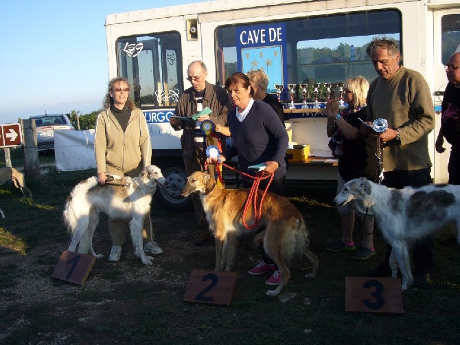 de Prjevalski - pvl spéciale à CHARDONNAY le 20/09