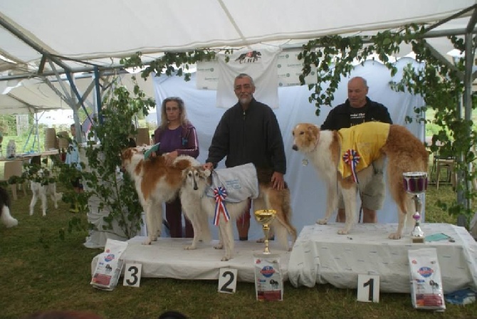 de Prjevalski - championnat de france de pvl le 23/08/15 à BARLIN