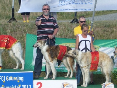 de Prjevalski - Etchenko de prjevalski Vice Champion d'europe de coursing 2013