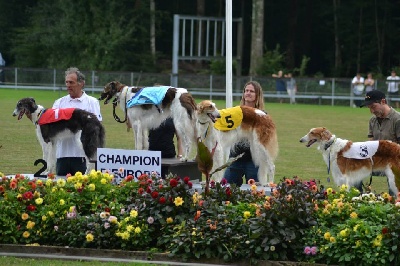 de Prjevalski - Edwina de prjevalski encore vice championne d' europe pour la 3e fois