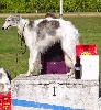  - pvl le 5 avril à LOCHES 