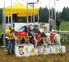  - Championnat d'Europe de Coursing en italie