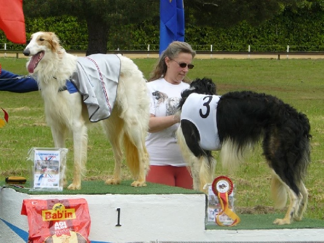 de Prjevalski - Championnat de france de racing 2015