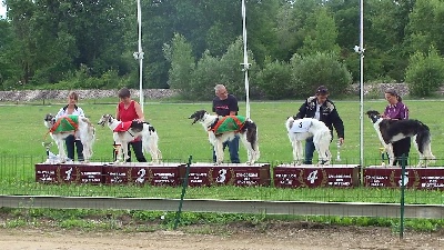 de Prjevalski - criterium des jeunes à Chatillon la palud