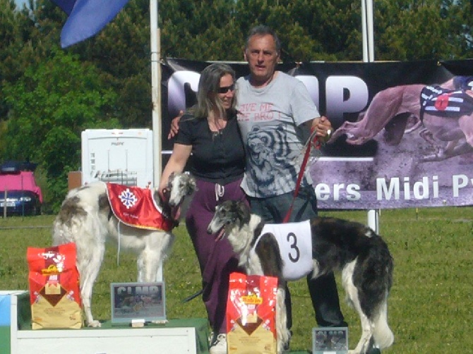 de Prjevalski - Championnat de france de racing à toulouse