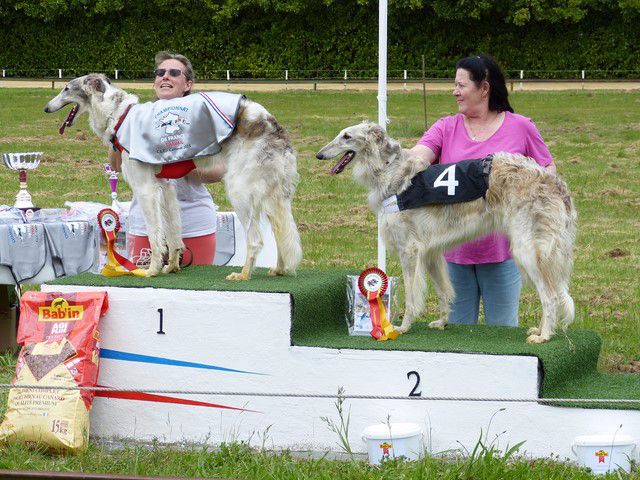 de Prjevalski - championnat de france de racing 2015