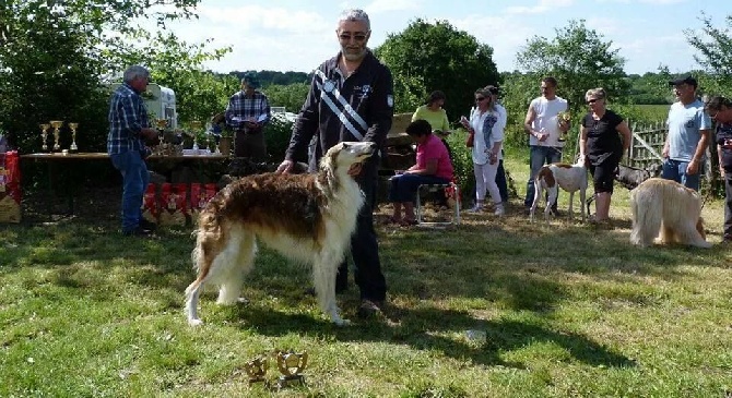 de Prjevalski - CACIL de AGONGES le 31/05/2014