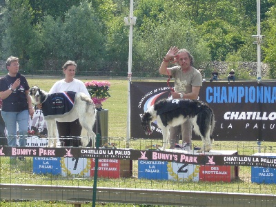 de Prjevalski - elvira a encore gagné le championnat de france de racing