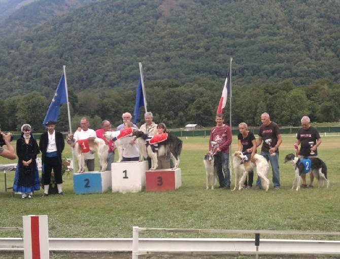 de Prjevalski - Championnat de france à pari mutuel à LUCHON