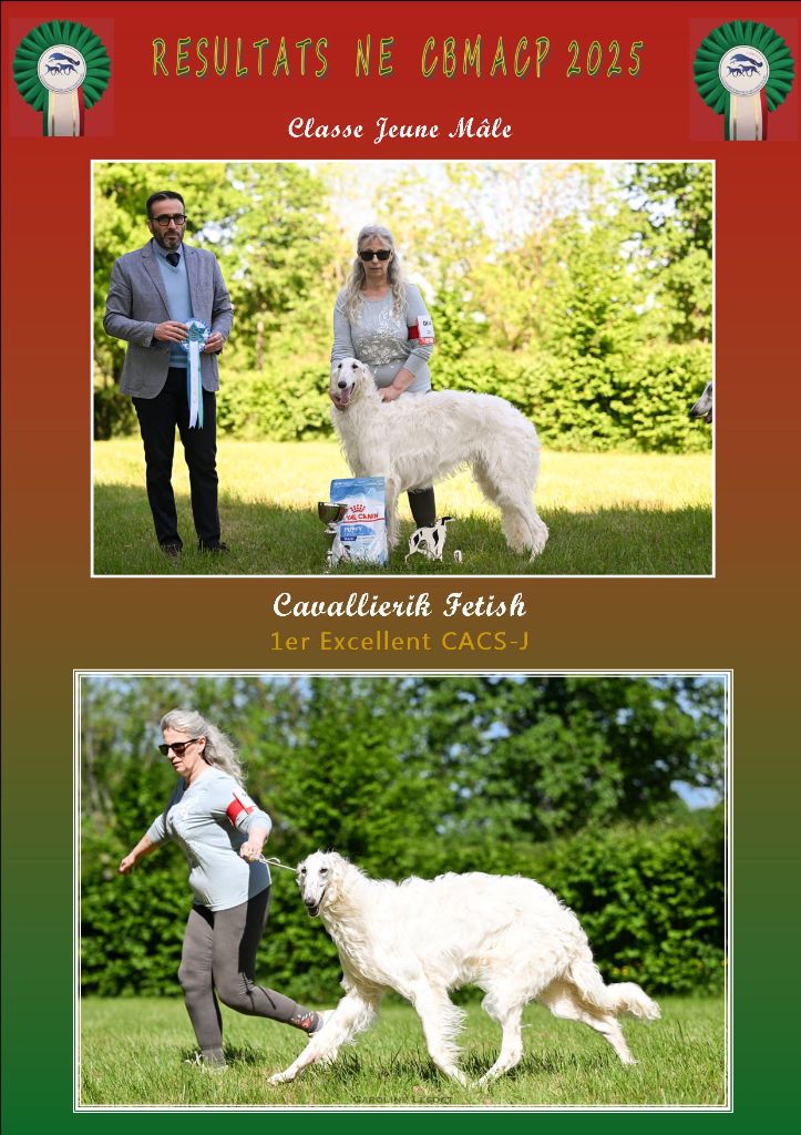 CACS Nationale d'élevage barzois