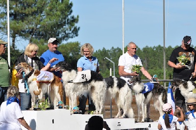 de Prjevalski - championnat du monde à mont de marsan