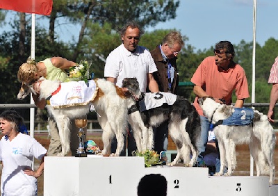 de Prjevalski - championnat du monde à mont de marsan