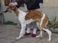 EREVAN